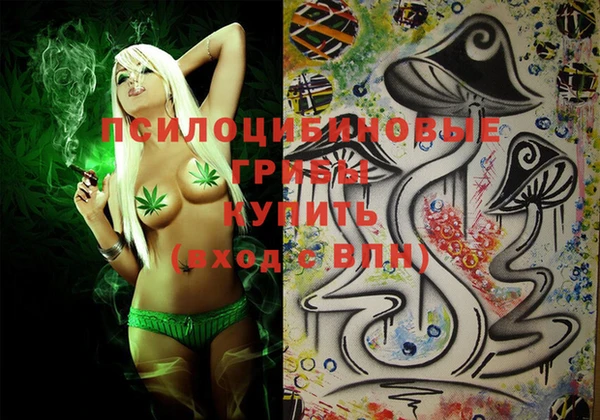 гидра Строитель