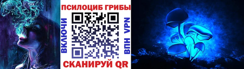 Купить  Иркутск  Псилоцибиновые грибы Psilocybine cubensis 